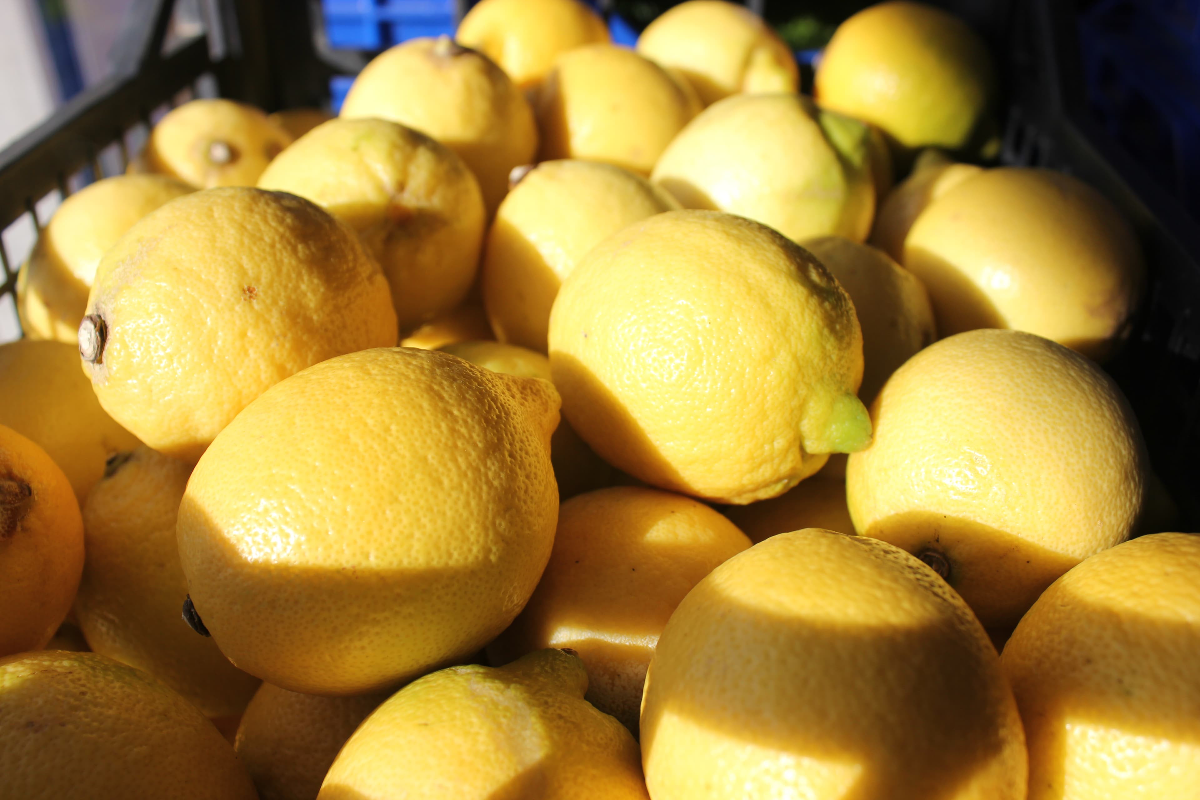 Agrumi siciliani freschi